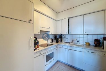 Vue imprenable sur les Alpes - Appartement en résidence secondaire et vendable aux étrangers