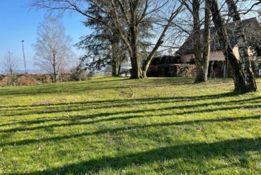 Une maison familiale pleine de charme à Lonay, avec potentiel rare d’agrandissement