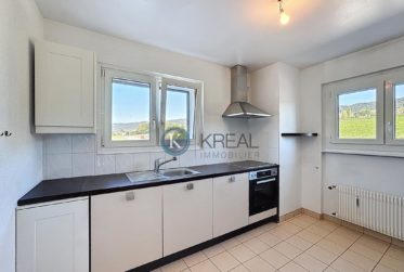 Opportunité rare : appartement avec terrasse dans une PPE rénovée, à 100 m du lac