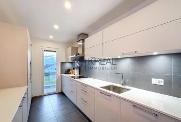 Standing et confort : 4.5 pièces moderne avec terrasse et vue imprenable sur le lac